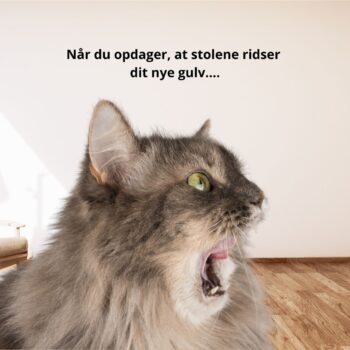 Når du oppdager...